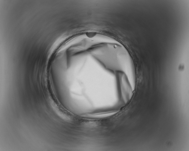 X0000112490102200909071230