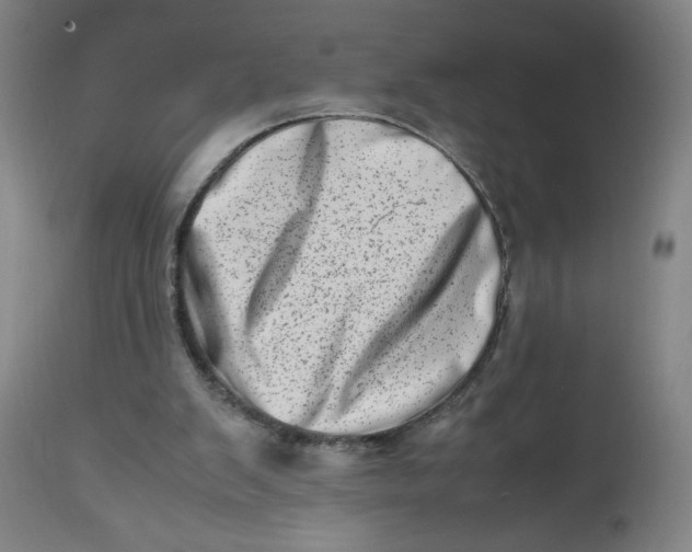 X0000112490103200909071230
