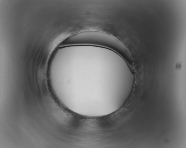 X0000112490104200909071230