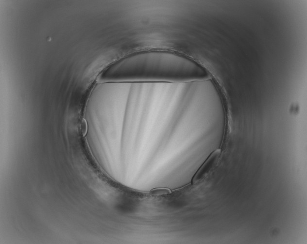 X0000112490105200909071230