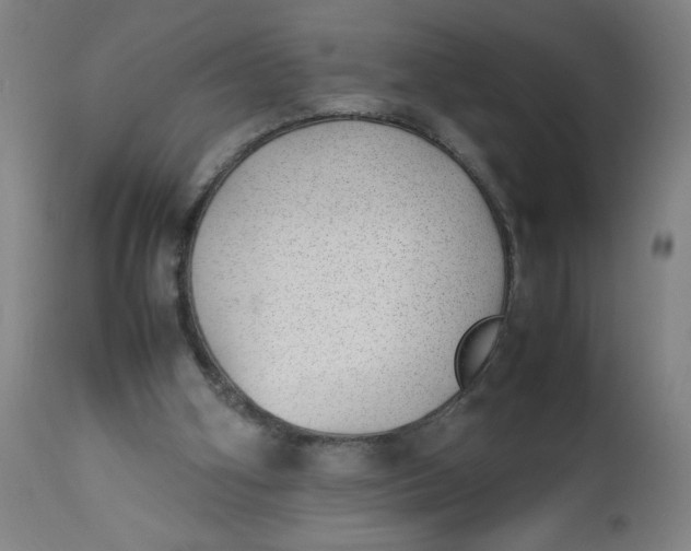 X0000112490106200909071230