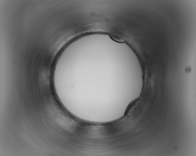 X0000112490108200909071230