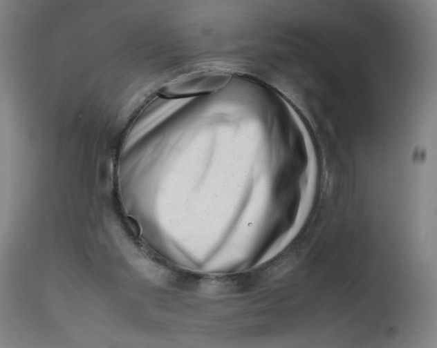 X0000112490109200909071230