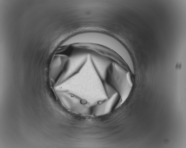 X0000112490111200909071230