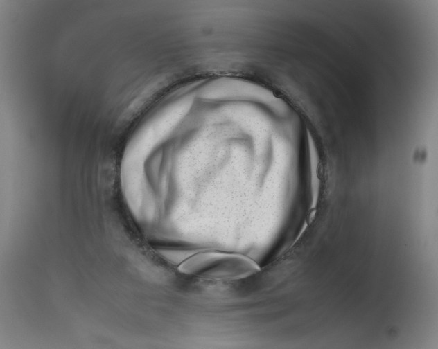 X0000112490113200909071230