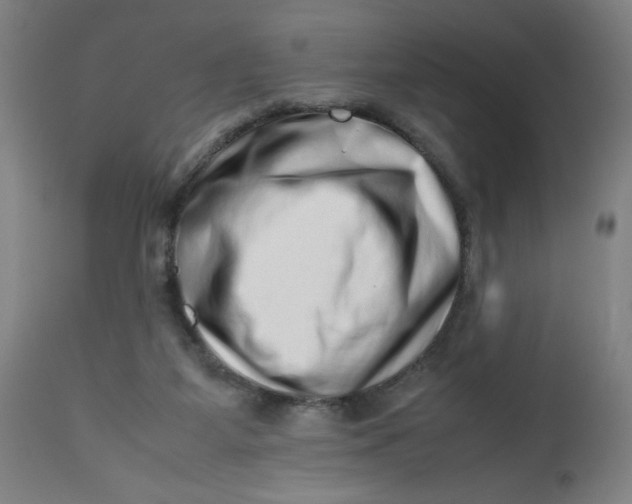 X0000112490115200909071230