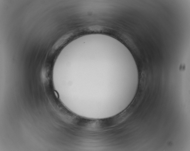 X0000112490116200909071230