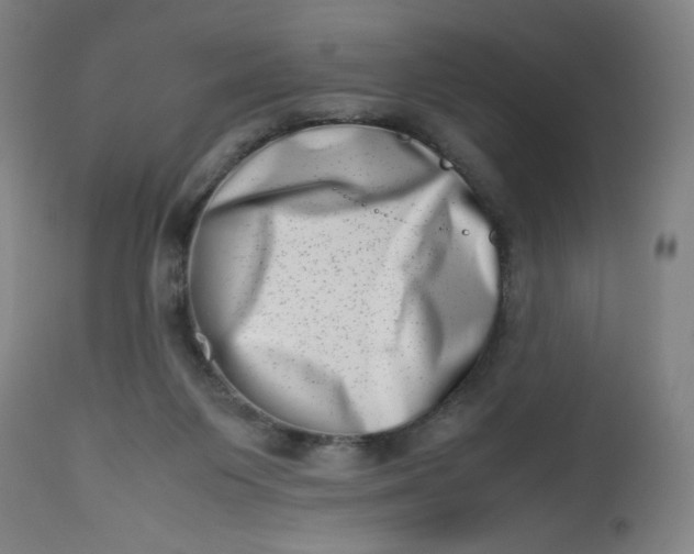 X0000112490119200909071230