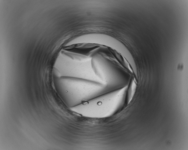 X0000112490120200909071230