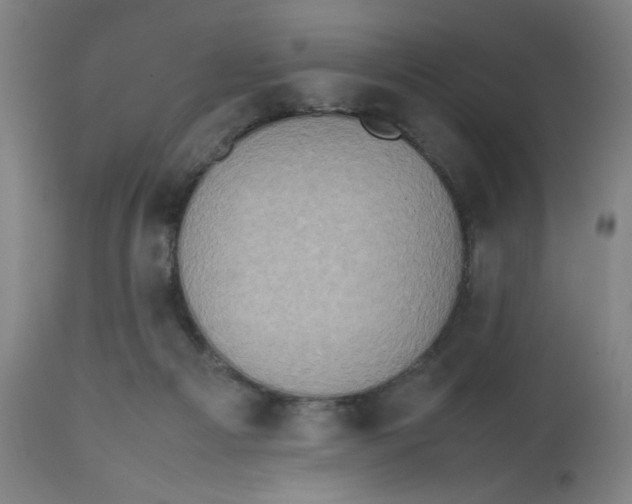 X0000112490121200909071230