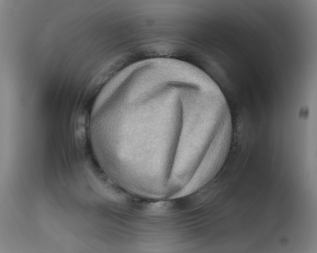X0000112490122200909071230