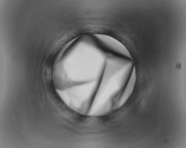 X0000112490123200909071230