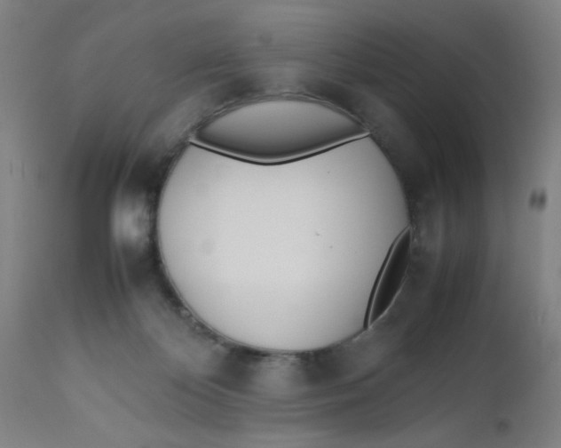 X0000112490124200909071230