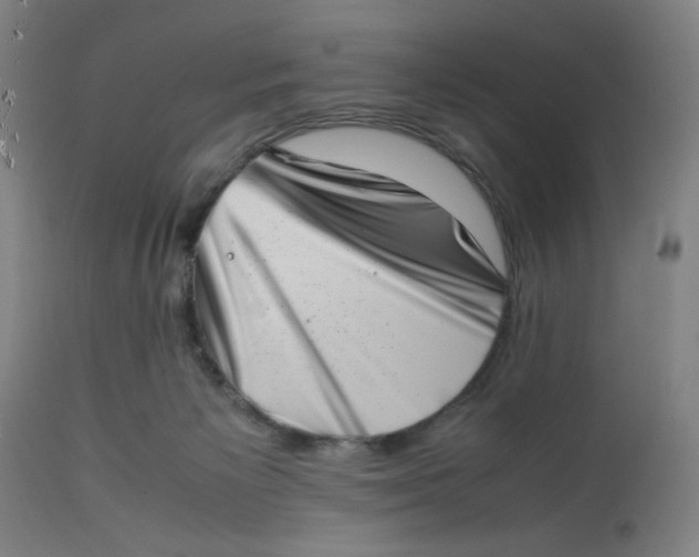 X0000112490125200909071230