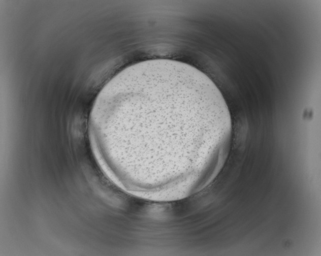 X0000112490126200909071230