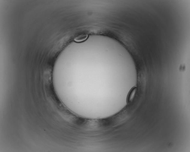 X0000112490127200909071230