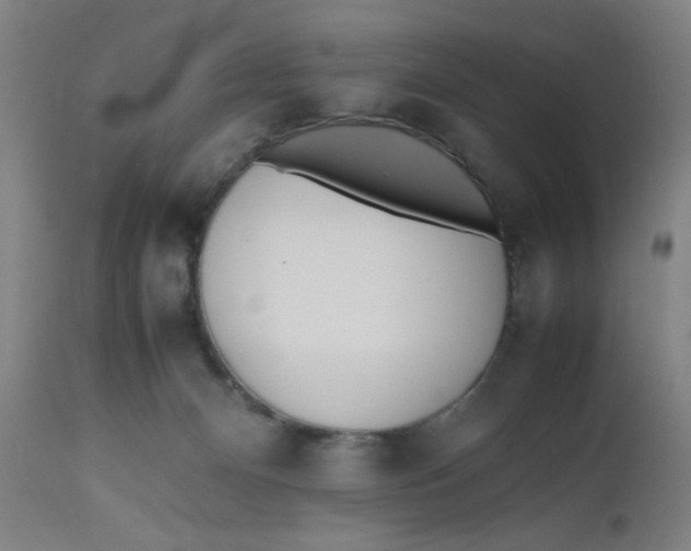 X0000112490128200909071230