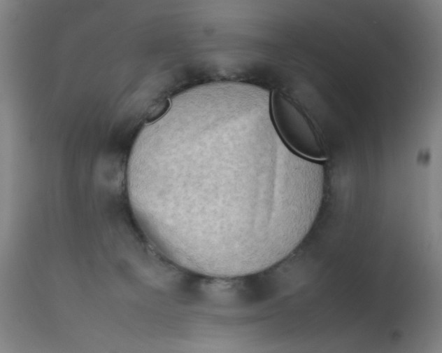 X0000112490129200909071230