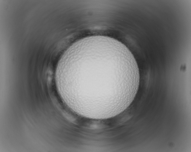 X0000112490130200909071230
