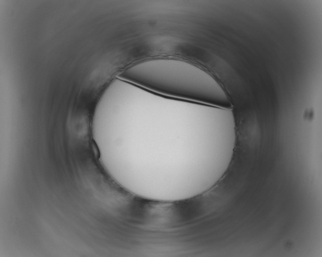 X0000112490132200909071230