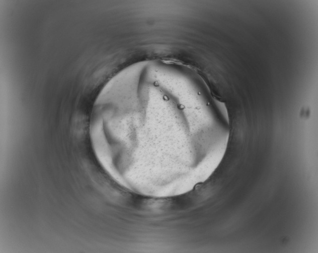 X0000112490135200909071230