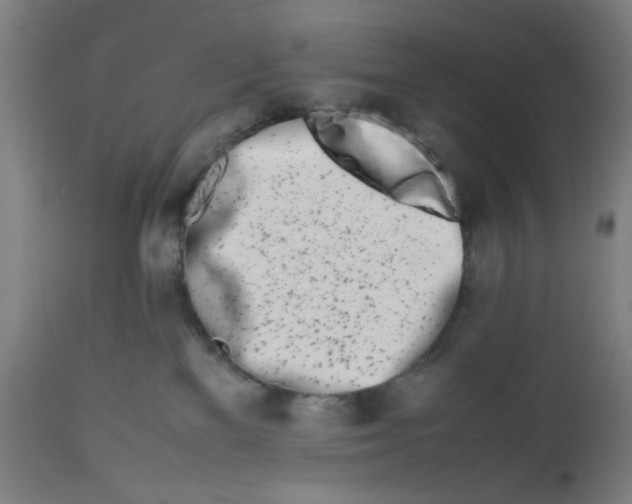 X0000112490137200909071230