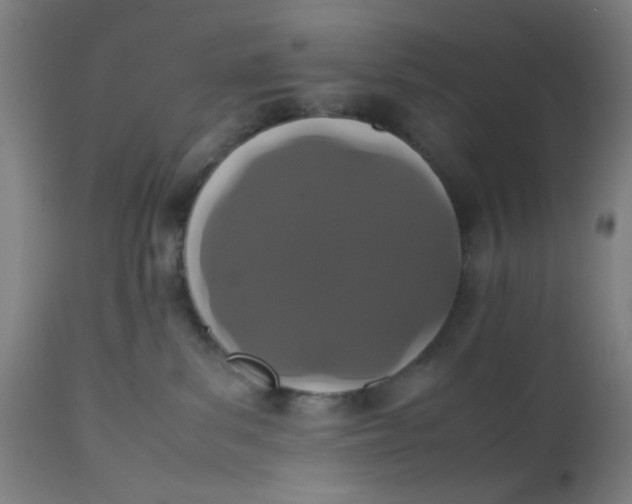X0000112490139200909071230