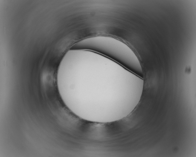 X0000112490140200909071230