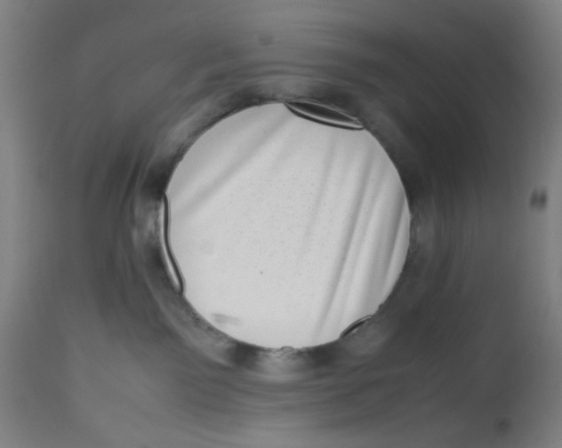 X0000112490141200909071229