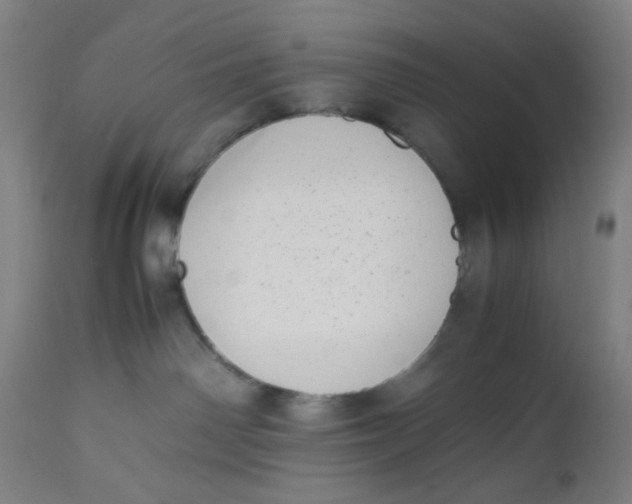 X0000112490142200909071229