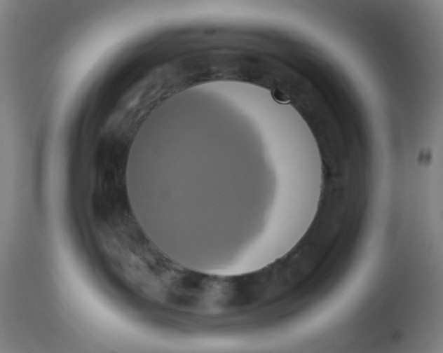 X0000112490143200909071229