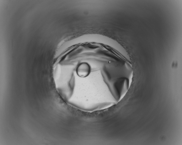 X0000112490144200909071229