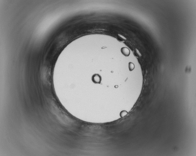 X0000112490146200909071229