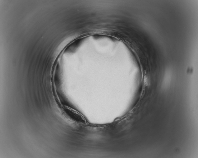 X0000112490147200909071229