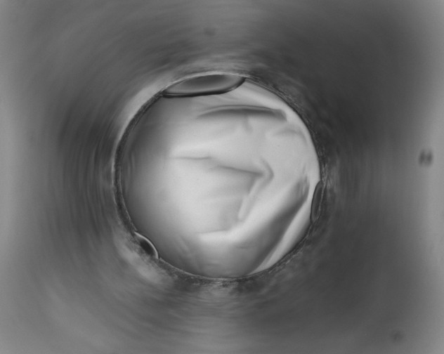 X0000112490148200909071229