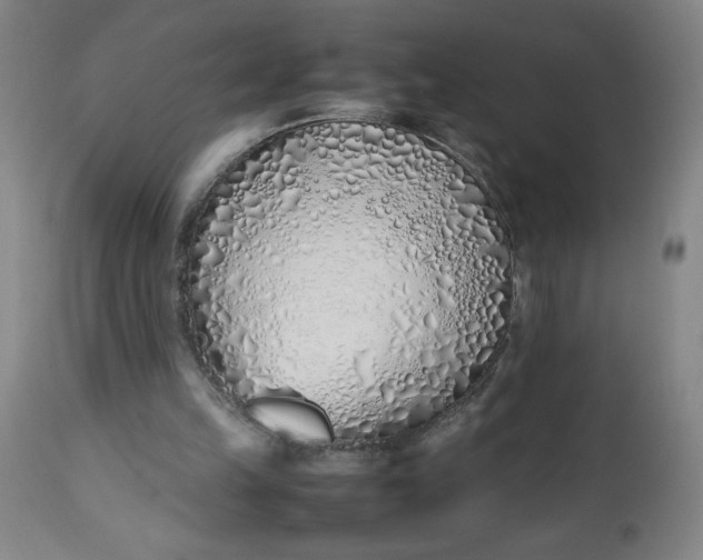 X0000112490149200909071229