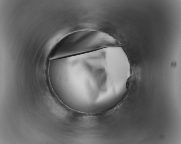 X0000112490150200909071229