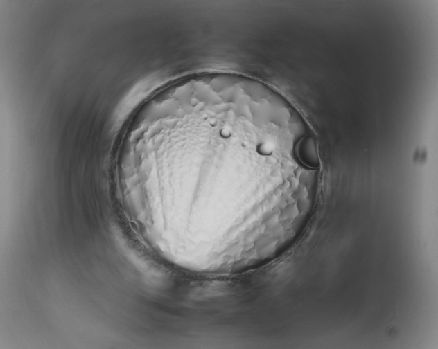 X0000112490151200909071229