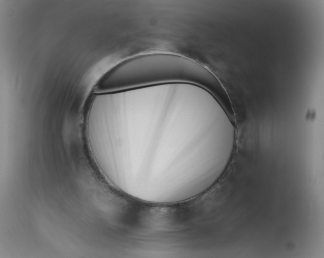 X0000112490152200909071229