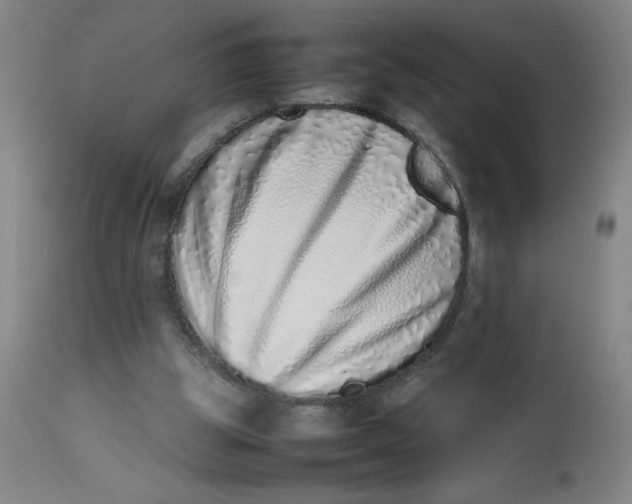 X0000112490153200909071229