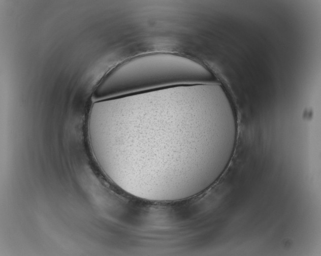 X0000112490154200909071229