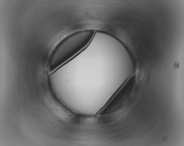 X0000112490156200909071229
