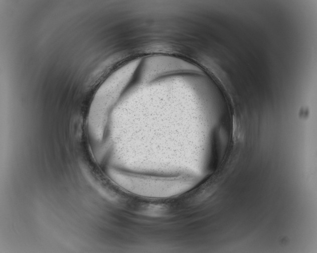 X0000112490157200909071229