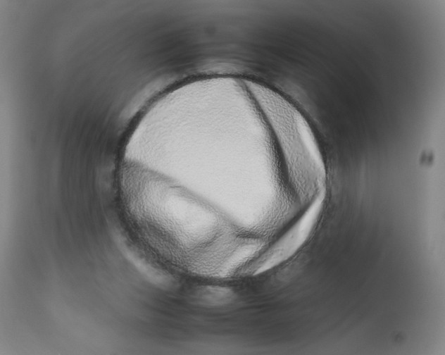 X0000112490159200909071229
