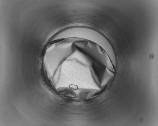 X0000112490160200909071229