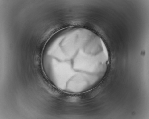 X0000112490161200909071229