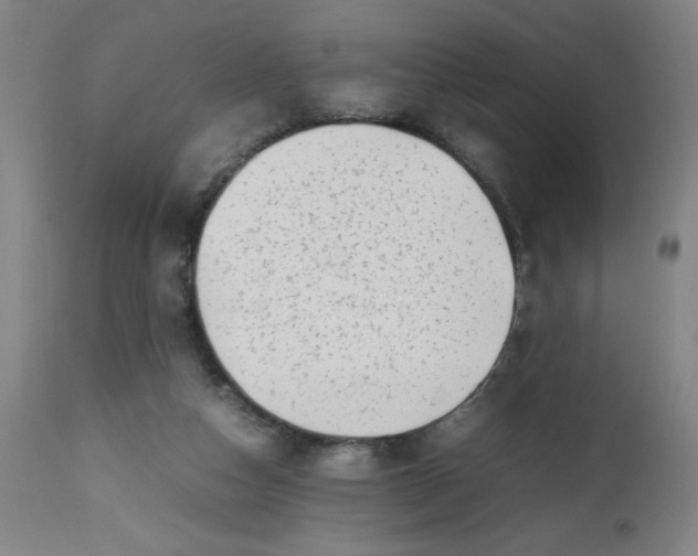 X0000112490162200909071229