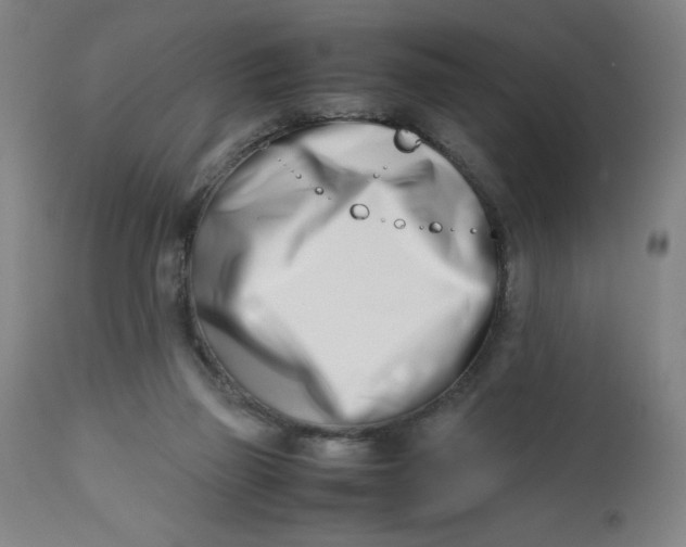 X0000112490165200909071229