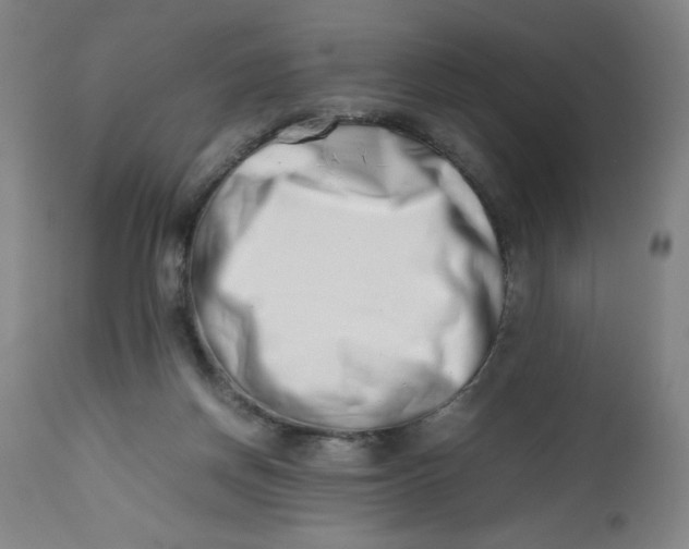 X0000112490166200909071229