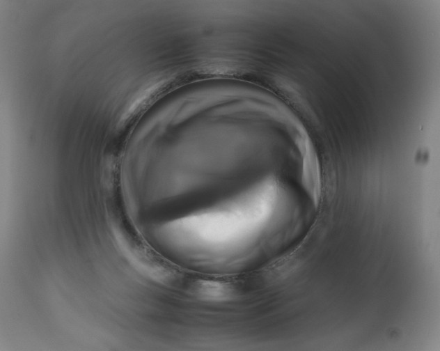 X0000112490167200909071229
